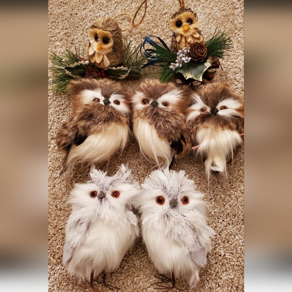 EUC Bundle of owl Christmas ornaments